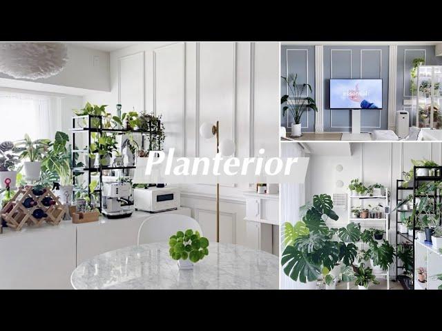 Planterior | 식물카페 아니에요? 깜짝놀랄 아파트 플랜테리어, 숨겨진 거실정원까지 대공개!