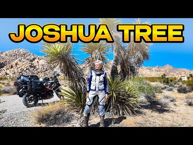 Desert Wonderland Ride | Joshua Tree National Park, California - EP. 284