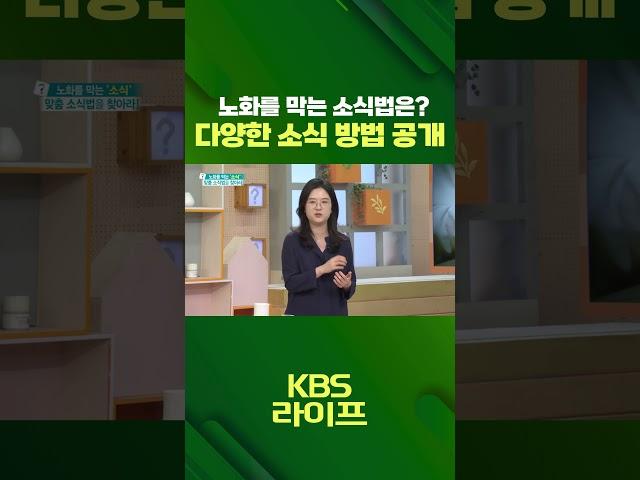 당신을 막는 '소식' 맞춤 소식법을 찾아라!  [무엇이든 물어보세요] | KBS 방송