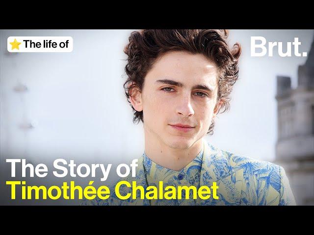 The Life of Timothée Chalamet