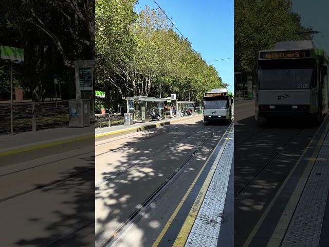 Melbourne Tram (1) 4K HDR