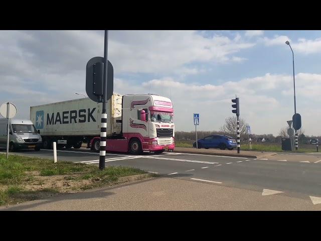 Baby Shark Toeter|Anette Glas Trans.|TruckspottersNL