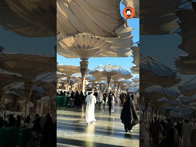 Ramazan in Madinah #ramadanmubarak #madina