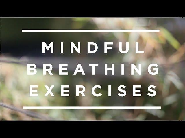 Mindful Breathing Exercises [Jeffrey Schwartz]