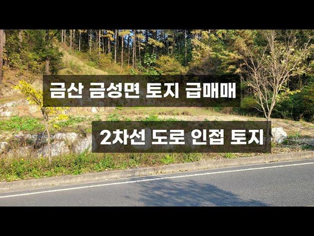 금산 금성면 토지 급매매 2차선 도로 접한 추천 매물