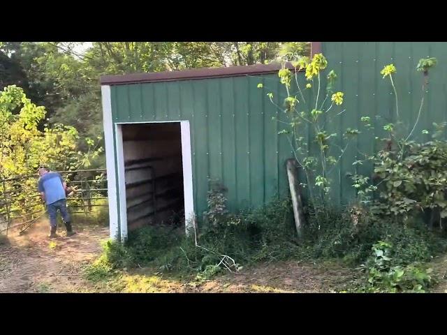 Part two of cleanup of the horse corral area