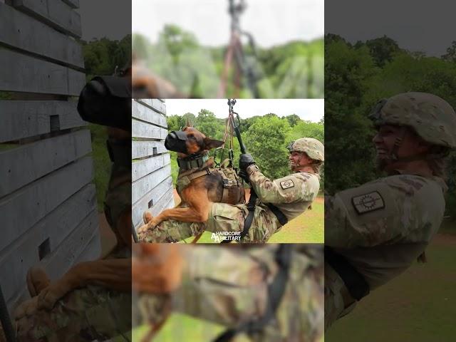  Military Dogs Rappel Training Hanuman Guardian 2023