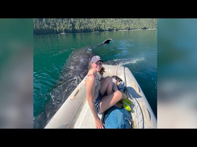 Wild whale encounter in B.C. lasts two hours