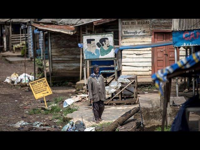 More than 20 villagers killed in Cameroon attack