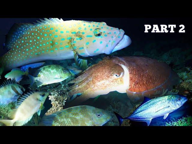 e91 - Part 2 | Night Spearfishing Hunting At Night | D Ilocano Hunter