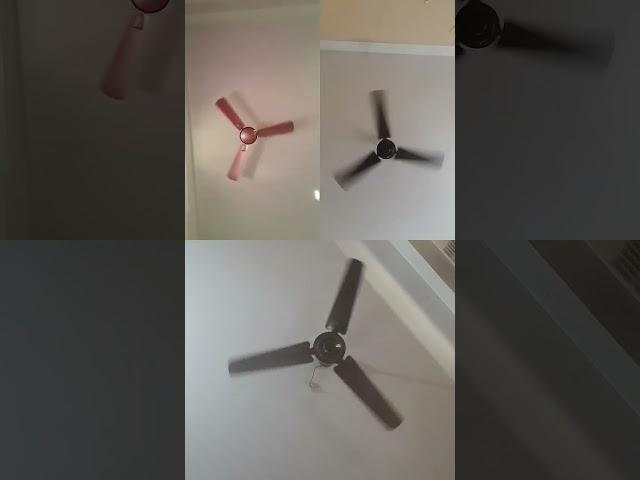 Ceiling #fan #viralvideo #ceilingfan #video #kipasangin #viralshorts #youtubeshorts #ytshorts #sound