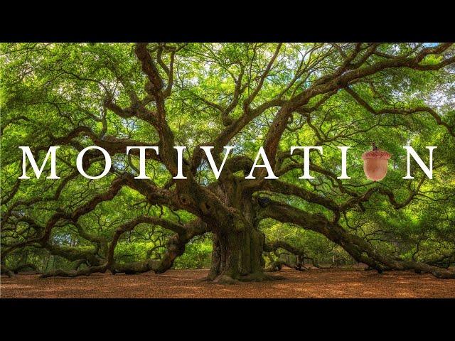 Epic Motivational Music : Ignite Your Motivation and Crush Your Goals!