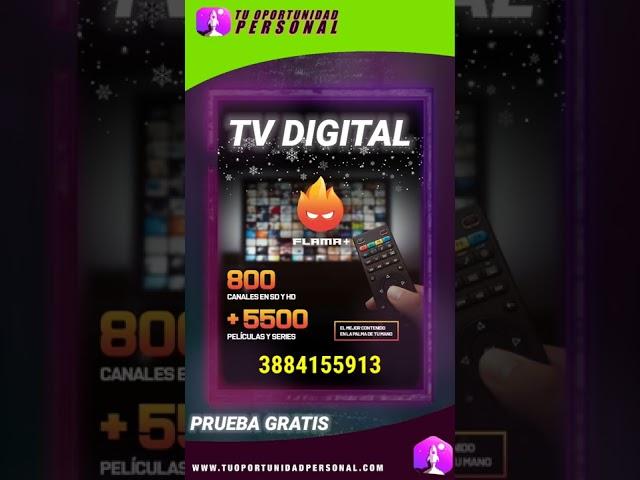 Flama Tv digital