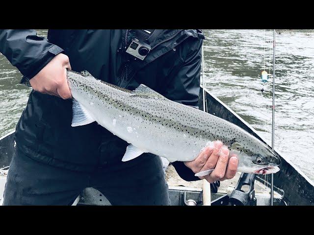 Winter Steelhead Fishing | Oregon Fishing | FEAT. 541 Fisherman