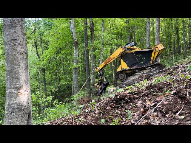 Bell Ultra C Track feller buncher…Cutting hardwood!