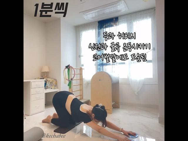 글라이딩 디스크 운동 7가지 집에서 조용히 운동 필라테스 글라이딩디스크 필라테스 전신운동 홈트레이닝 루틴 홈트 층간소음 전신근력운동 여자 초보 홈트 복근 초보 루틴
