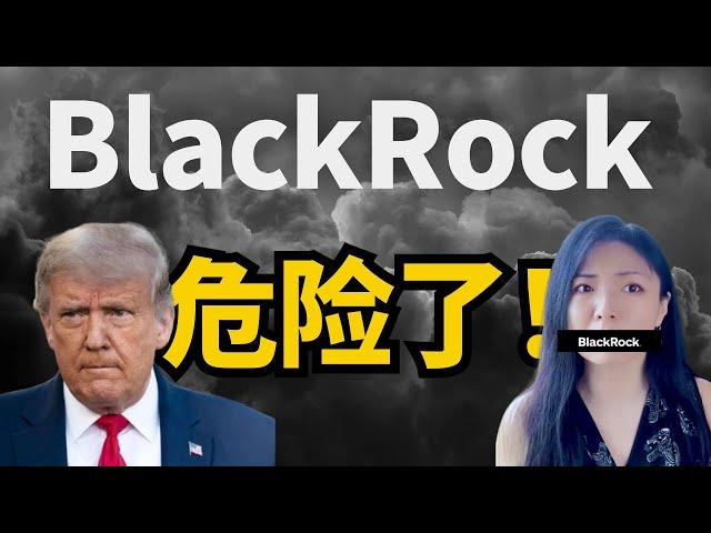 华尔街巨头 BlackRock首席投资官，TRUMP大选后，最危险2件事，市场最大风险