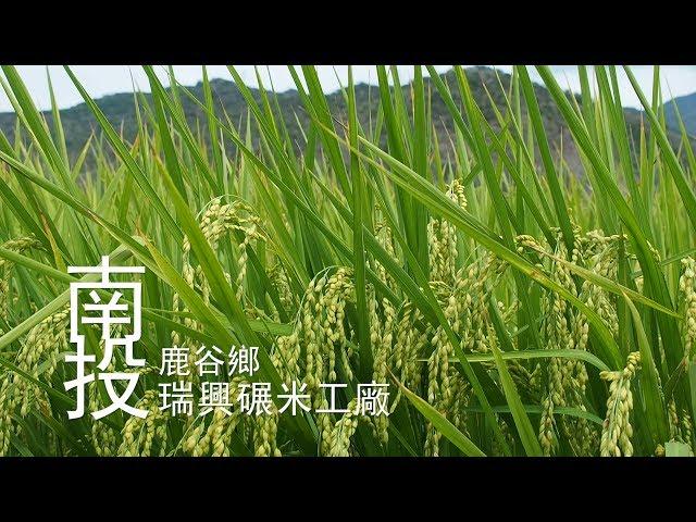 【鹿谷】瑞興碾米工廠