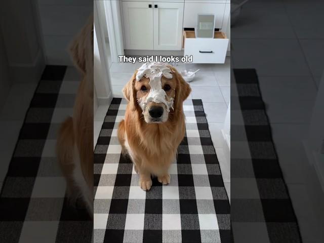 When you find out you're old and colorblind - part 2