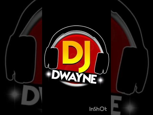 Dancehall Old School Mix Vol1 Dj Dwayne