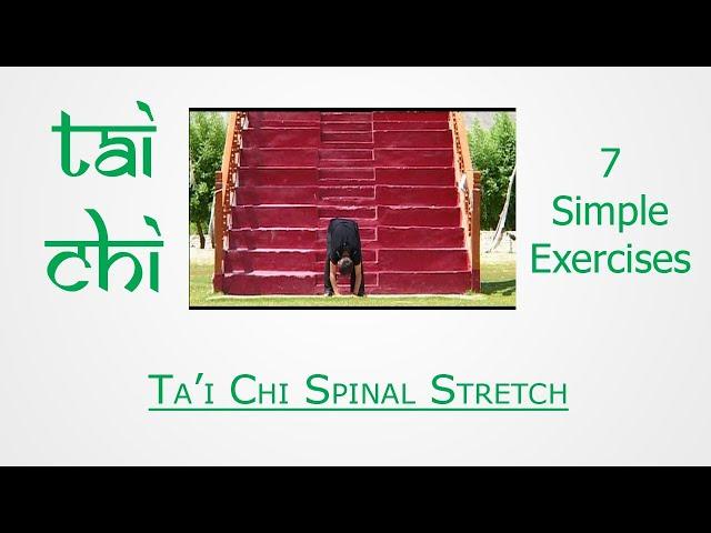 T'ai Chi | Sensei Sandeep Desai | T'ai Chi Spinal Stretch