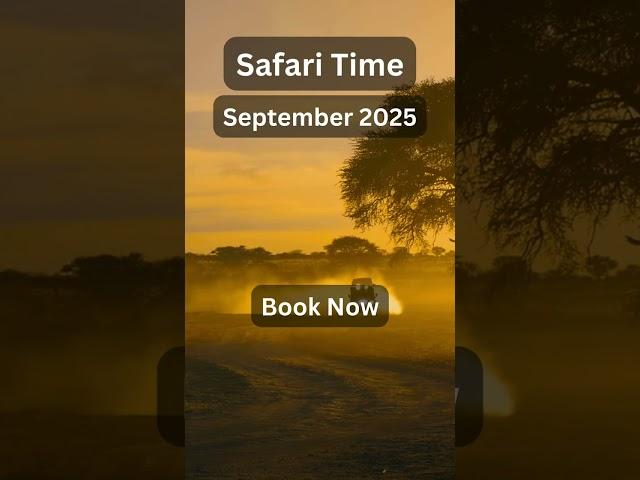 Wildlife Wonders of Tanzania: Photo Workshop