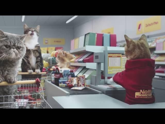 Самая крутая реклама в мире "Netto Katzen"