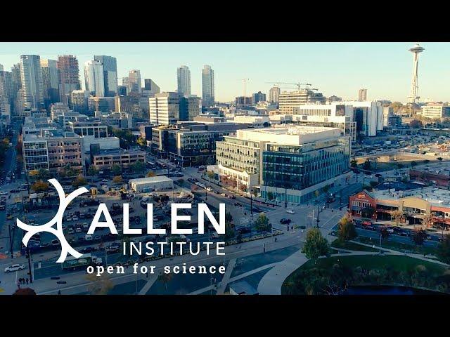 15 Years of Impact at the Allen Institute