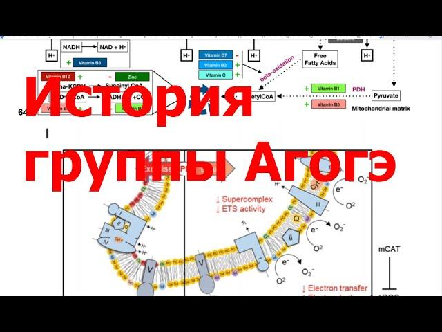 История развития Агогэ