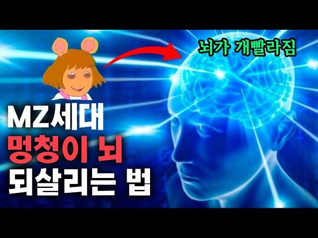 잃어버린 아이큐가 최소 20은 올라갈겁니다