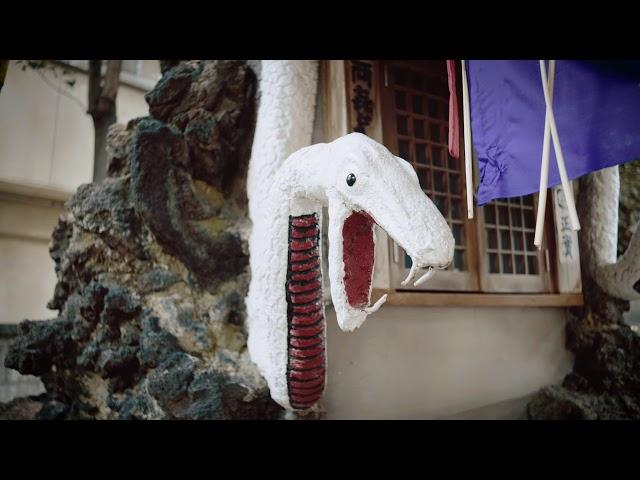 蛇窪神社　白蛇さまへ参拝～白蛇祈願