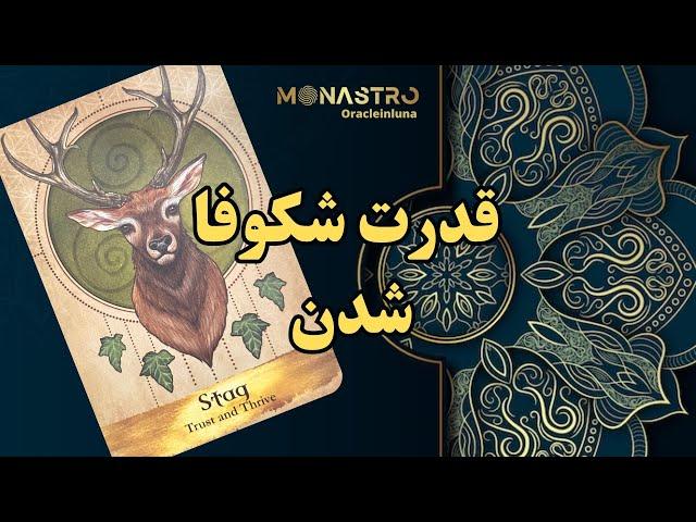 انرژی خوانی از دک فرشتگان - موناسترو