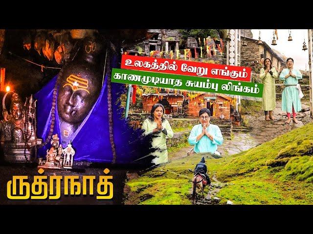 3600 மீட்டர் உயரத்தில் ஓங்கி ஒலிக்கும் ஓம்நமசிவாய | Rudranath Trek | Uttrakhand | Yathra Time