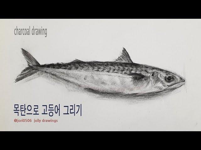 목탄으로 고등어 그리기 How to draw mackerel with charcoal /jori0506