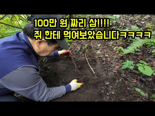 100만 원짜리 삼 캤습니다!!!!