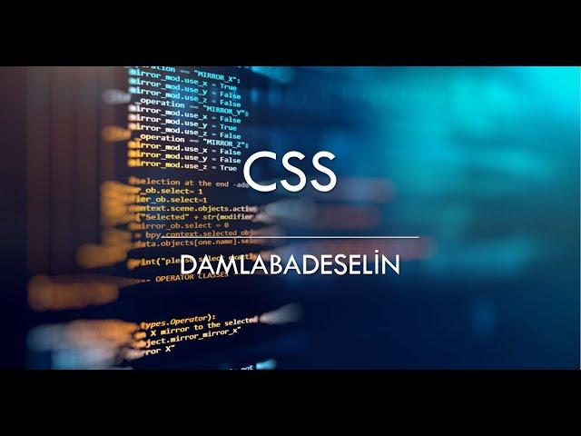 CSS3-DamlaBadeSelin(Bade Yaşar)