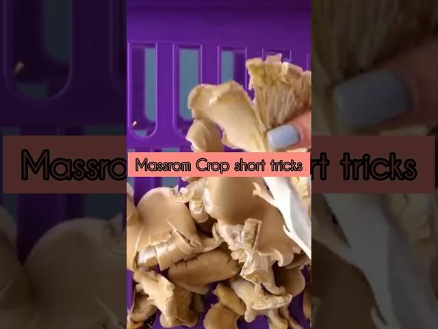 Home Made  Mass ROM cropping #shortvideo #amazingfacts #lifehacks #shortsvideo