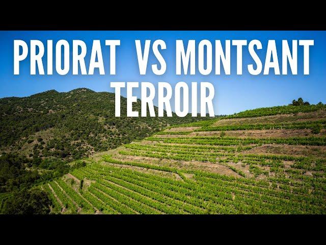 Differences between Priorat DOQ & Montsant DO | Wine Ghosts Podcast Ep. 48.