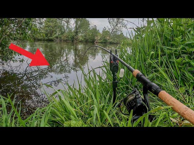 Aal Angeln am kleinen Fluss I The RiverVlog Folge 39