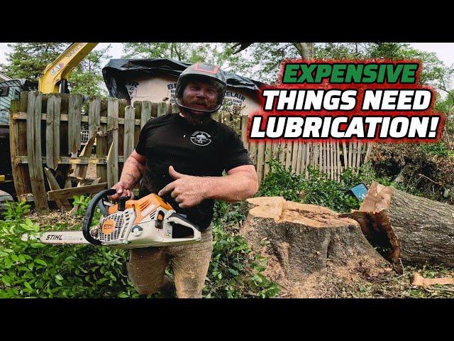 Sthil 500i With A 36" Bar vs Big Oak Tree! - Hurricane Helene Clean-up