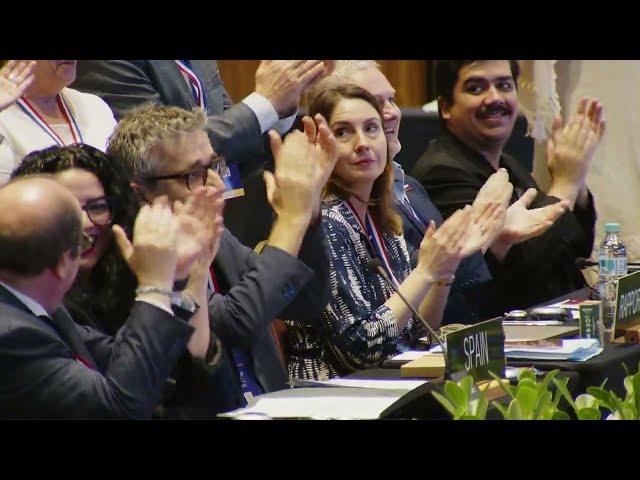 19th session of the Intergovernmental Committee - Floor - 4 December 2024 - pt7bpart3