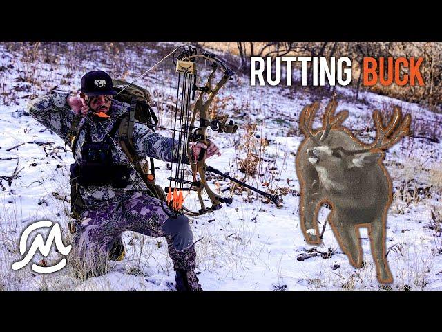 CHASING A BIG BUCK IN THE RUT | Extended Archery Utah