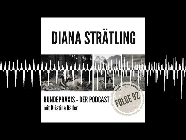 Alle dürfen mittrainieren - oder: "FitzAllDogs" - Hundepraxis - der Podcast