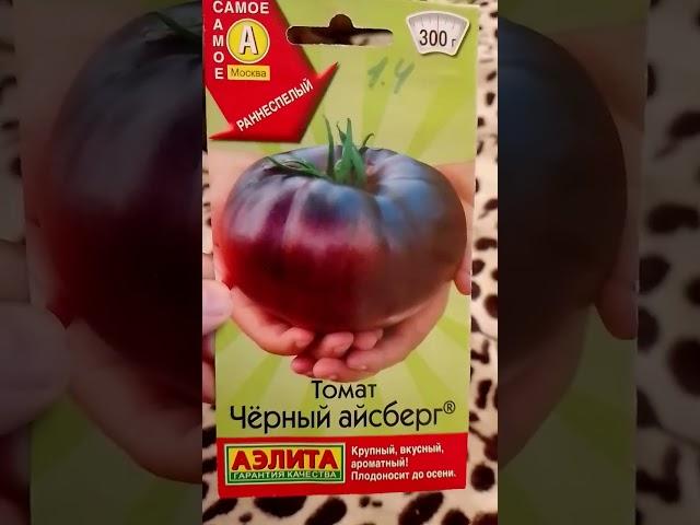 Чёрные томаты  пять лучших сортов! Лучшие сорта черных томатов Томаты чёрного цвета