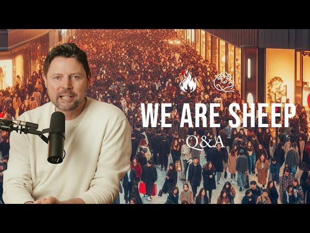 We Are Sheep | Q&A