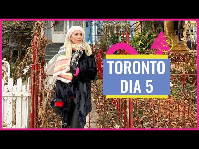 O que fazer em TORONTO - Galeria AGO - Kensington Market - Museu McMichael - vlog viagem