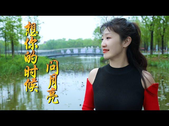 相思情歌《想你的时候问月亮》雨中百合，亲爱的，月亮代表我的心