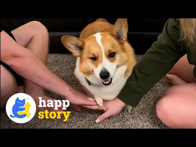 Ollie the Lobster Claw Dog: Thriving with Ectrodactyly! ️| HAPP