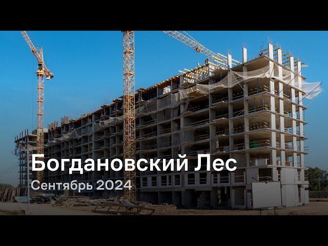 «Богдановский Лес» / Сентябрь 2024