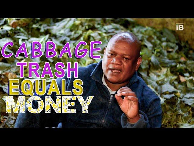 How to Make Money Out of Cabbage Waste